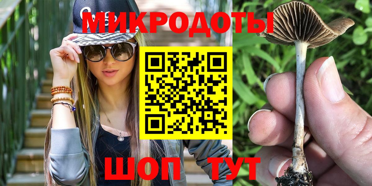 Псилоцибиновые грибы Psilocybine cubensis  Галлюциногенные грибы мухоморы  наркотики  Ступино  Вход с VPN 